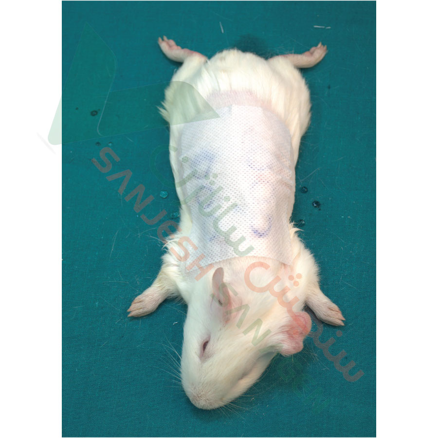 تست حساسیت زایی بوئلر