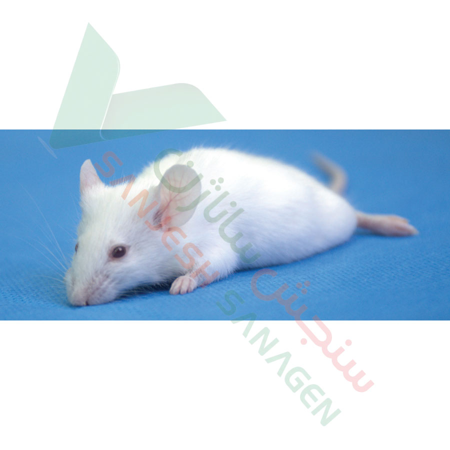 آزمون حساسیتزایی پوستی llna