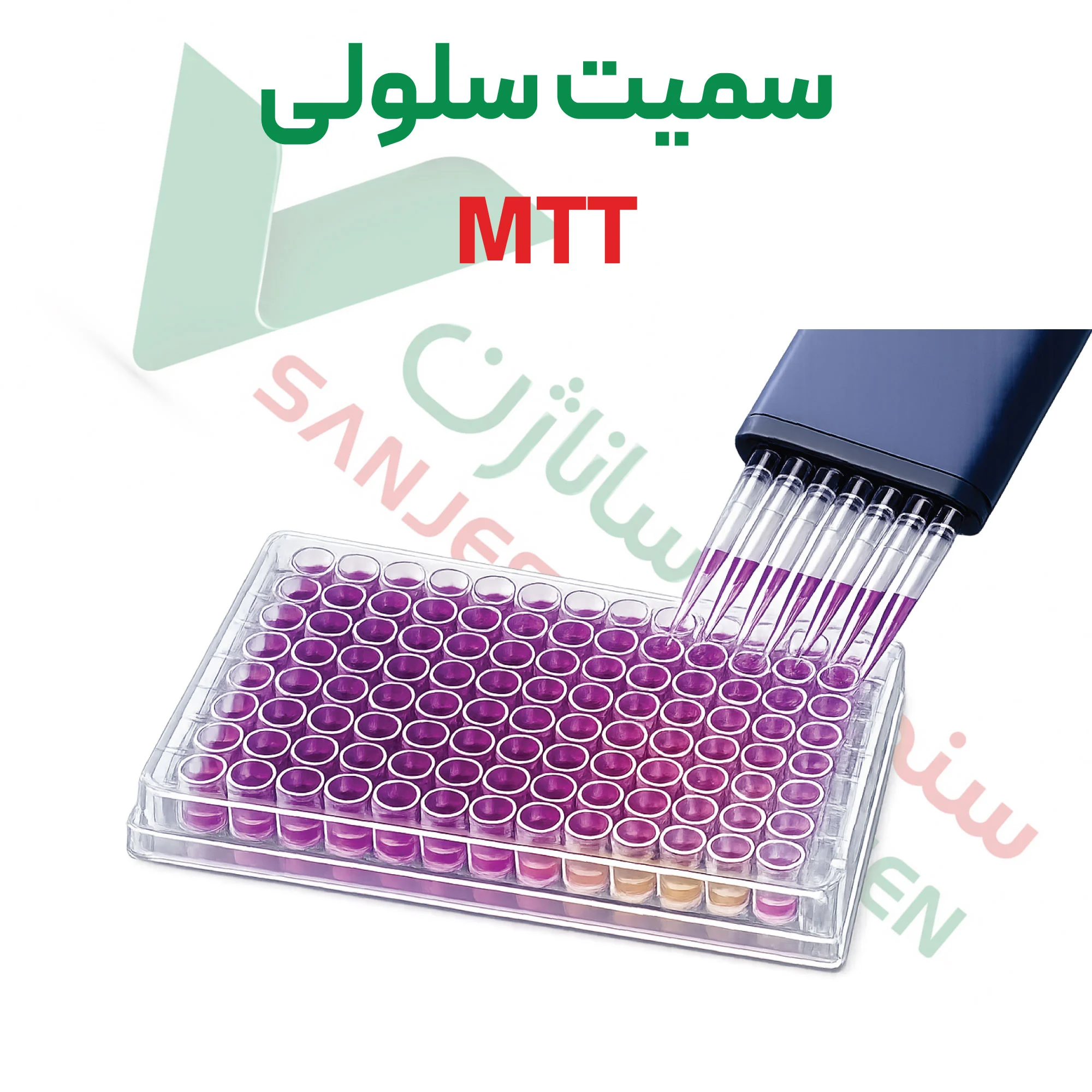 آزمون سمیت سلولی – MTT