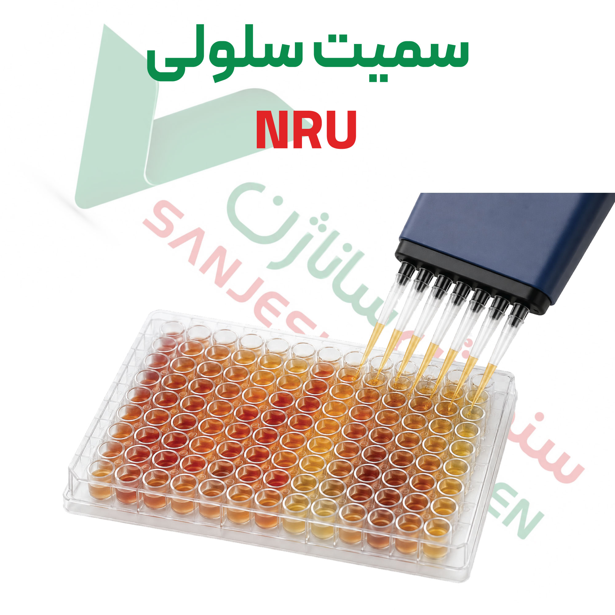 تست سمیت سلولی نوترال رد