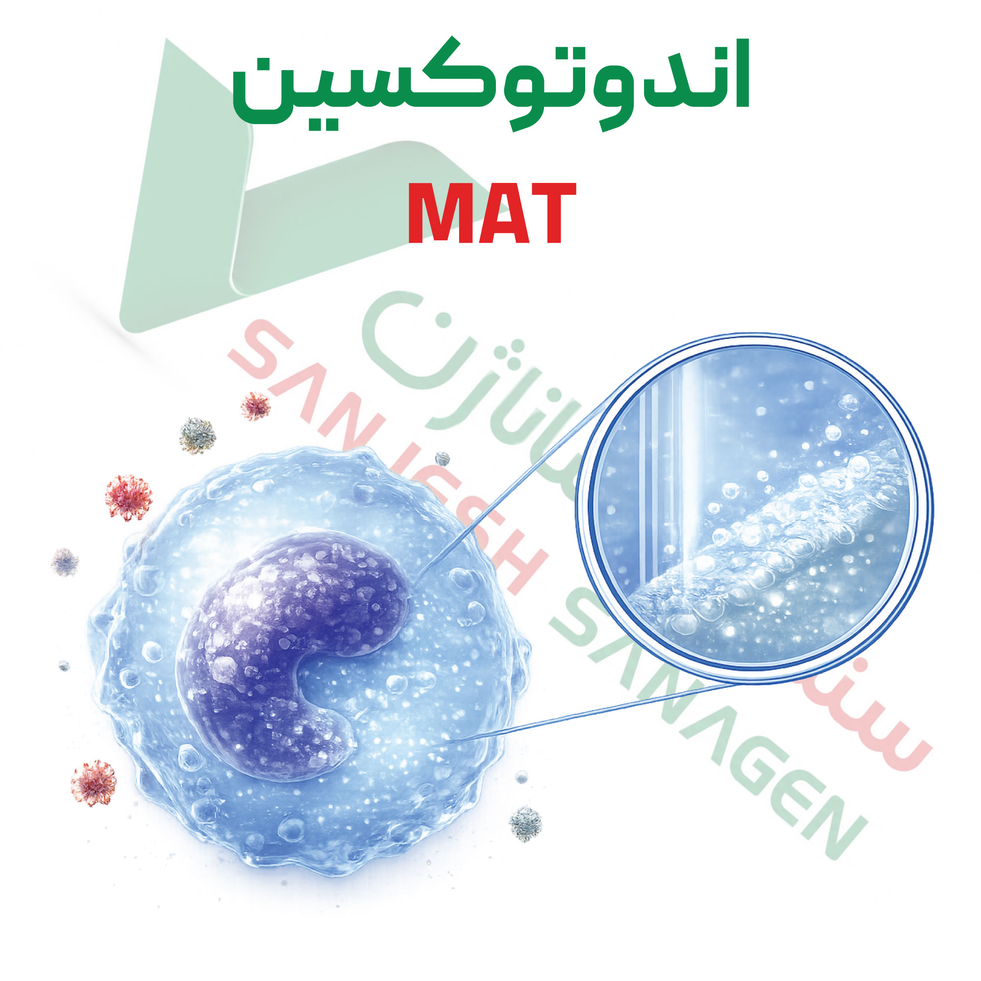 تست اندوتوکسین-mat تست اندوتوکسین-mat