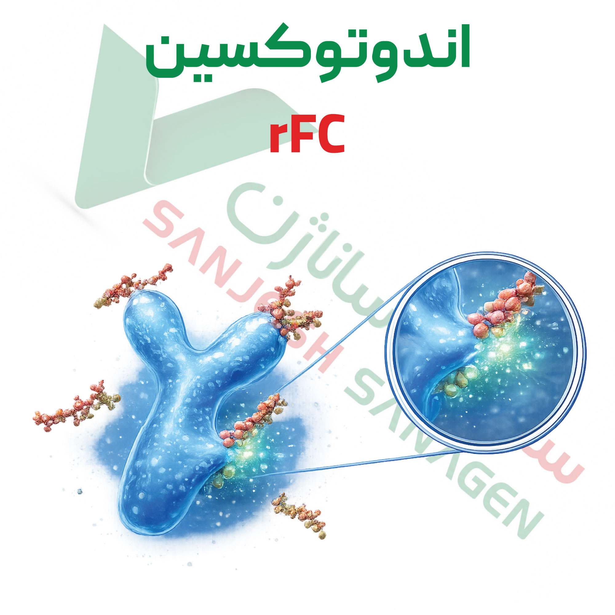 تست اندازه گیری اندوتوکسین به روش نوترکیب تست اندازه گیری اندوتوکسین به روش نوترکیب