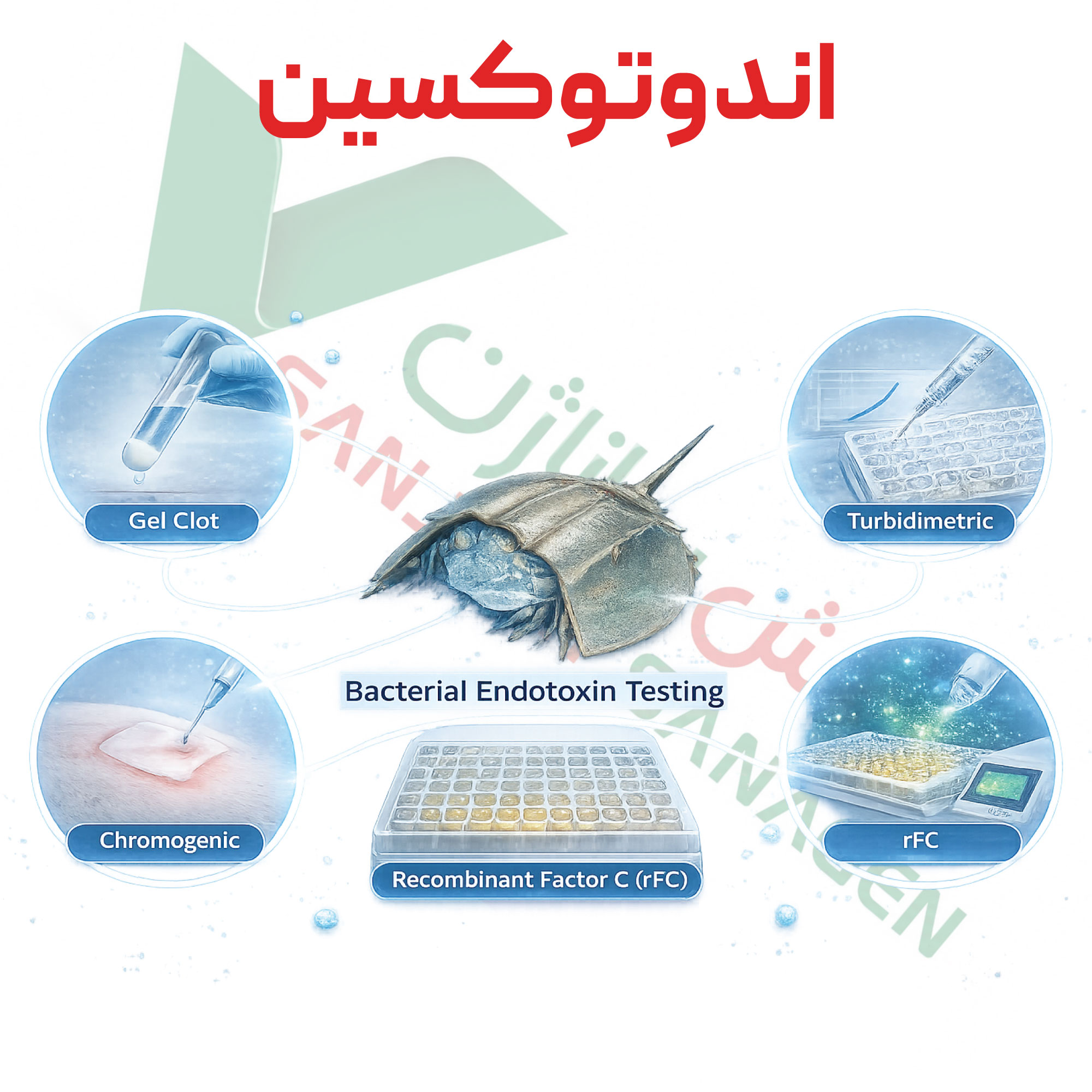 تست اندازه گیری اندوتوکسین