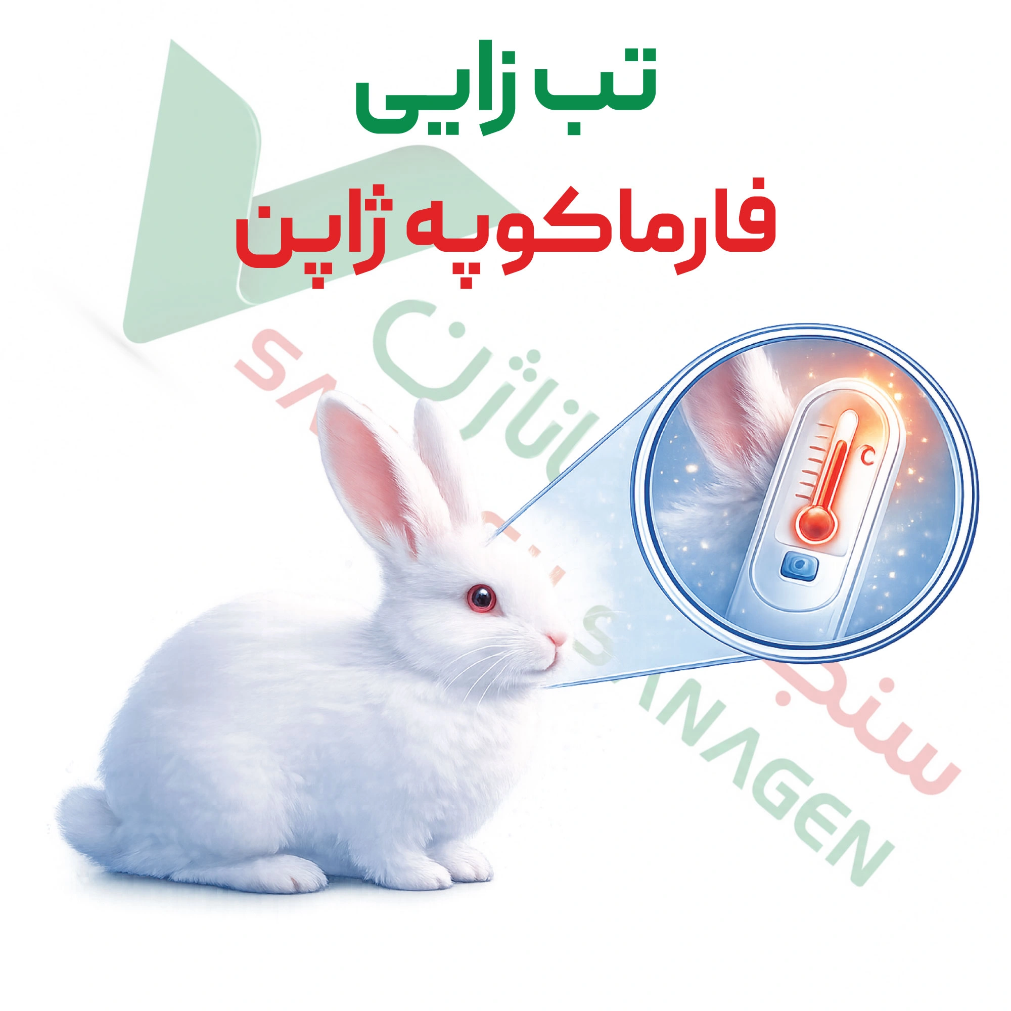 آزمون پیروژن – فارماکوپه ژاپن