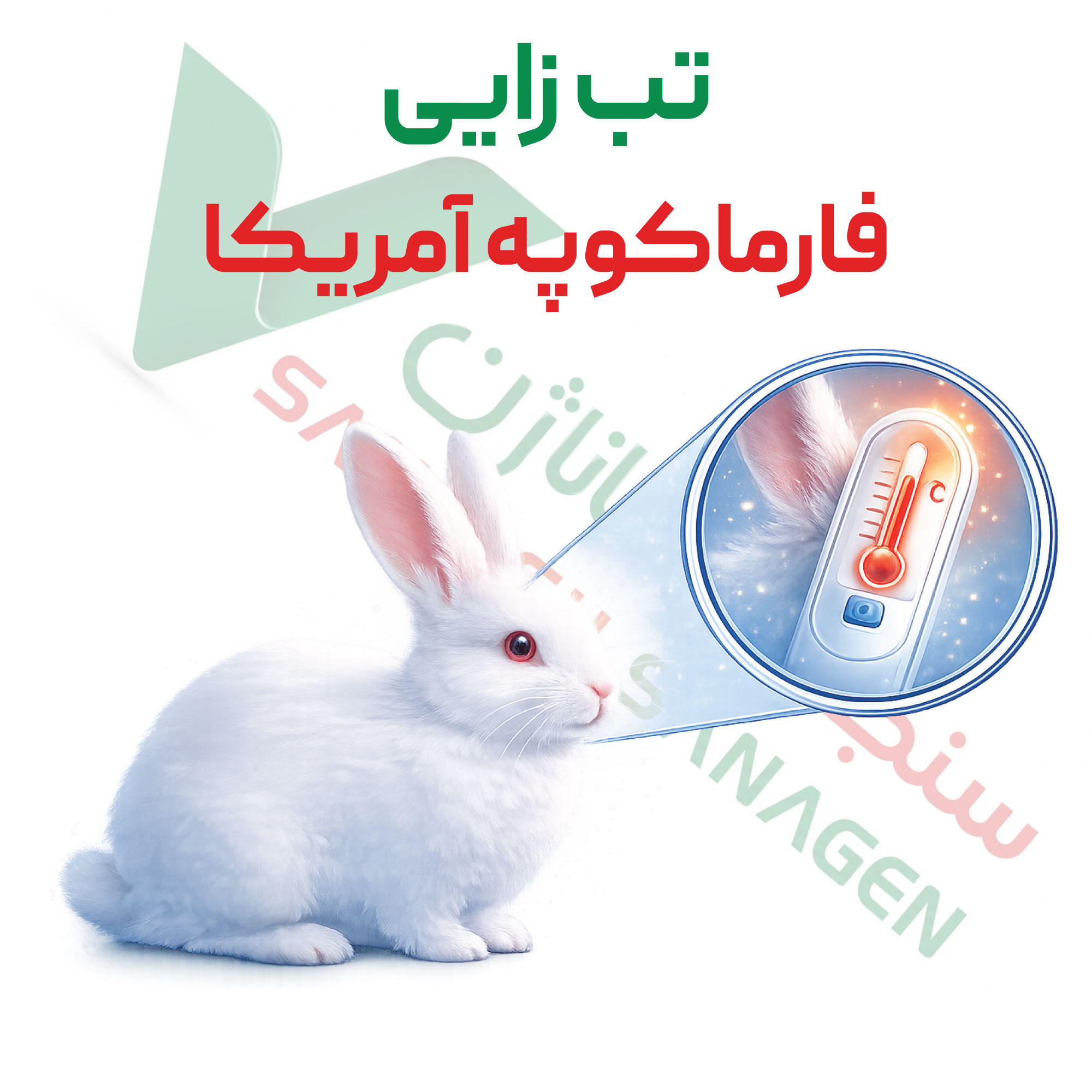 تست تب زایی فارماکوپه آمریکا