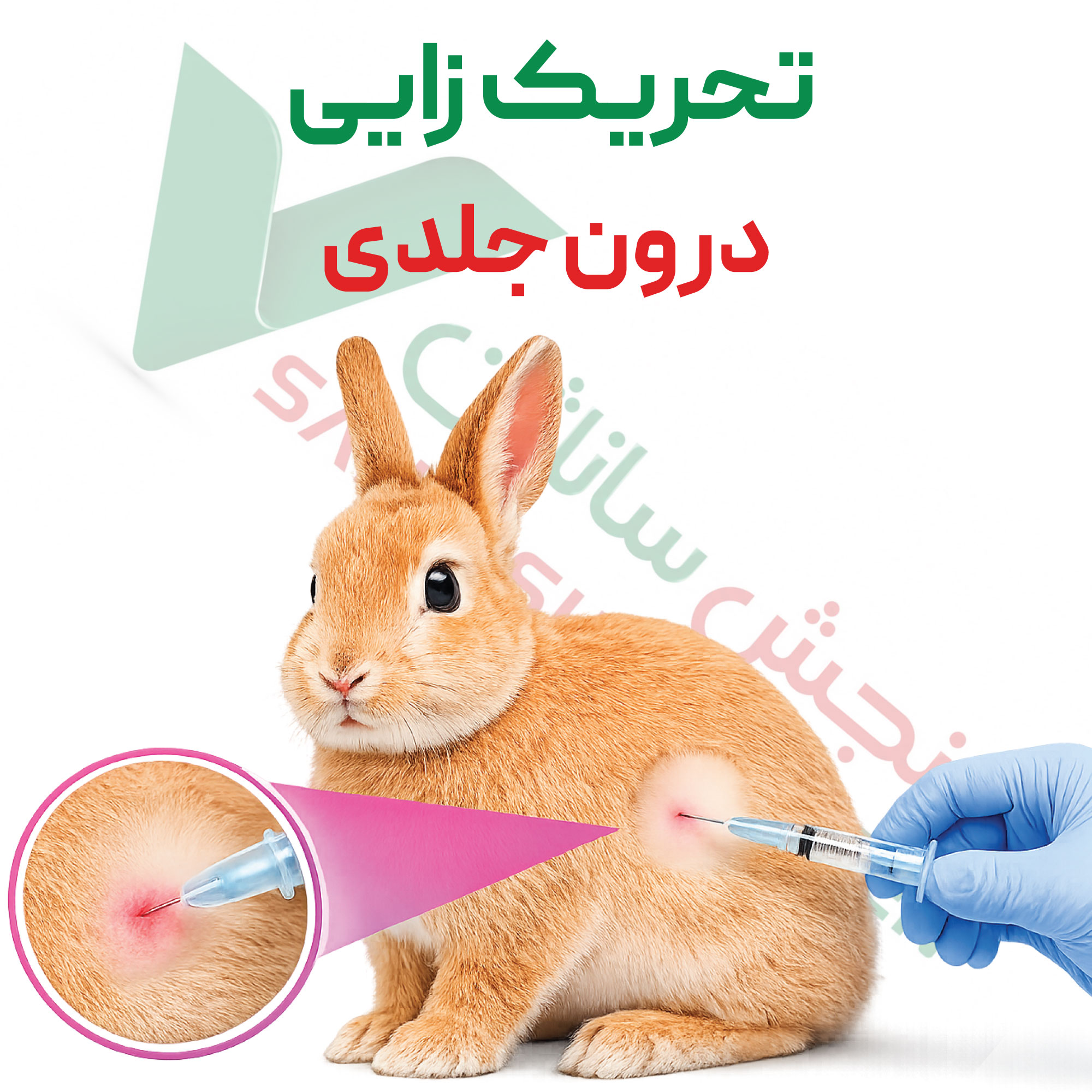تست تحریک-زایی-درون-جلدی