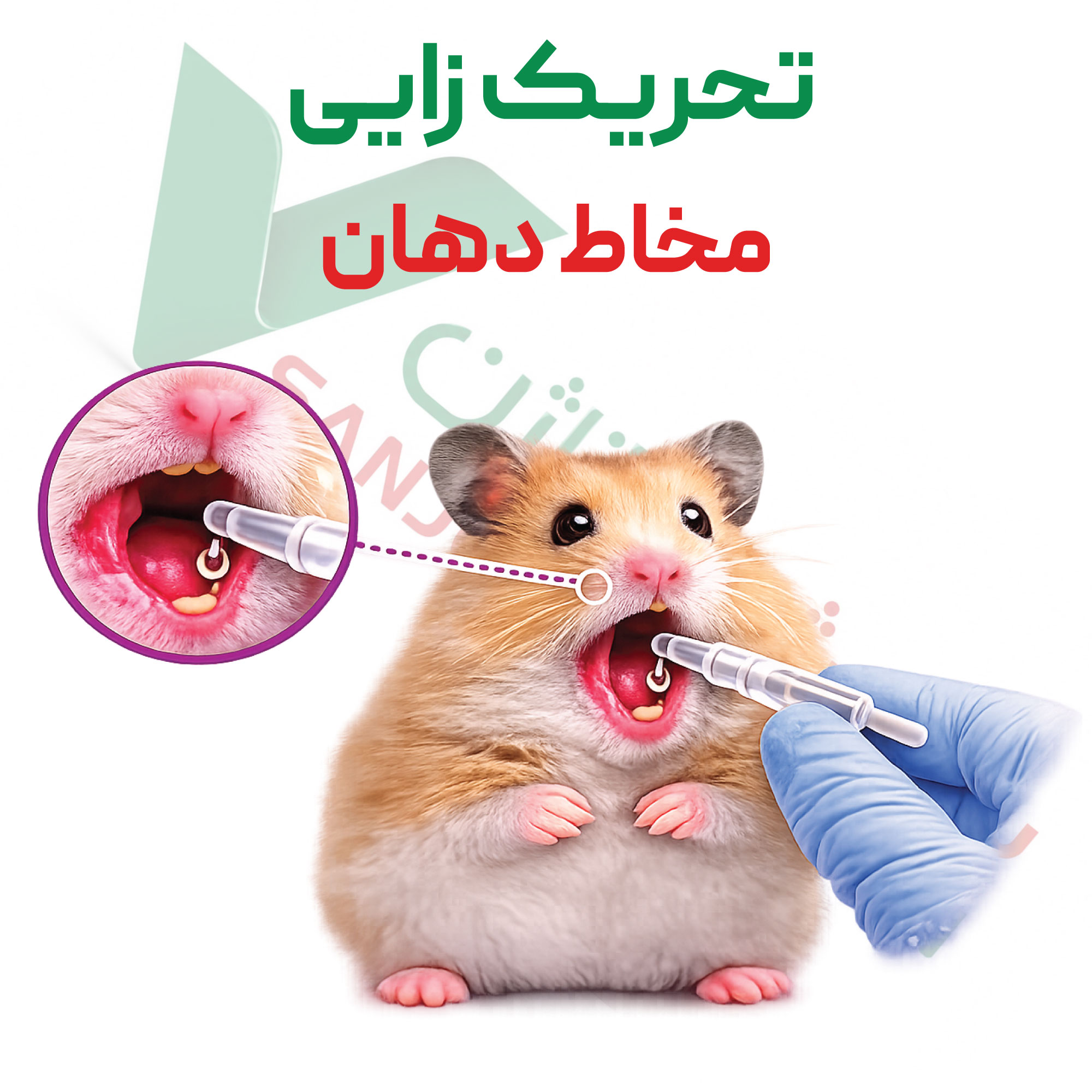 تست تحریک-زایی-مخاط-دهان