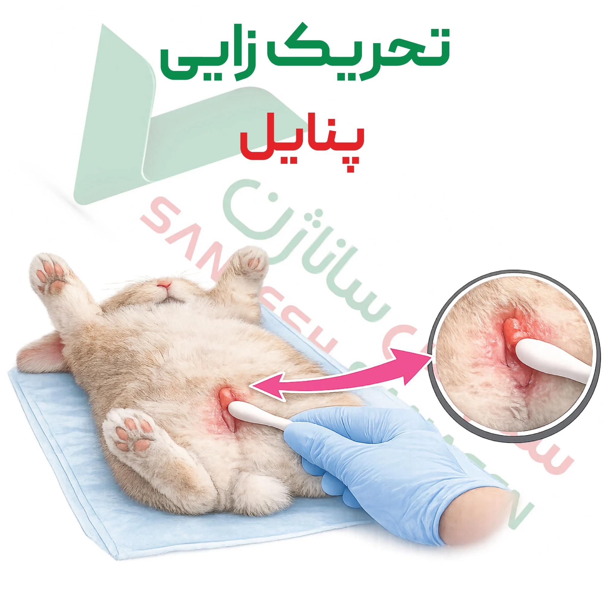 آزمون تحریک زایی – پنایل