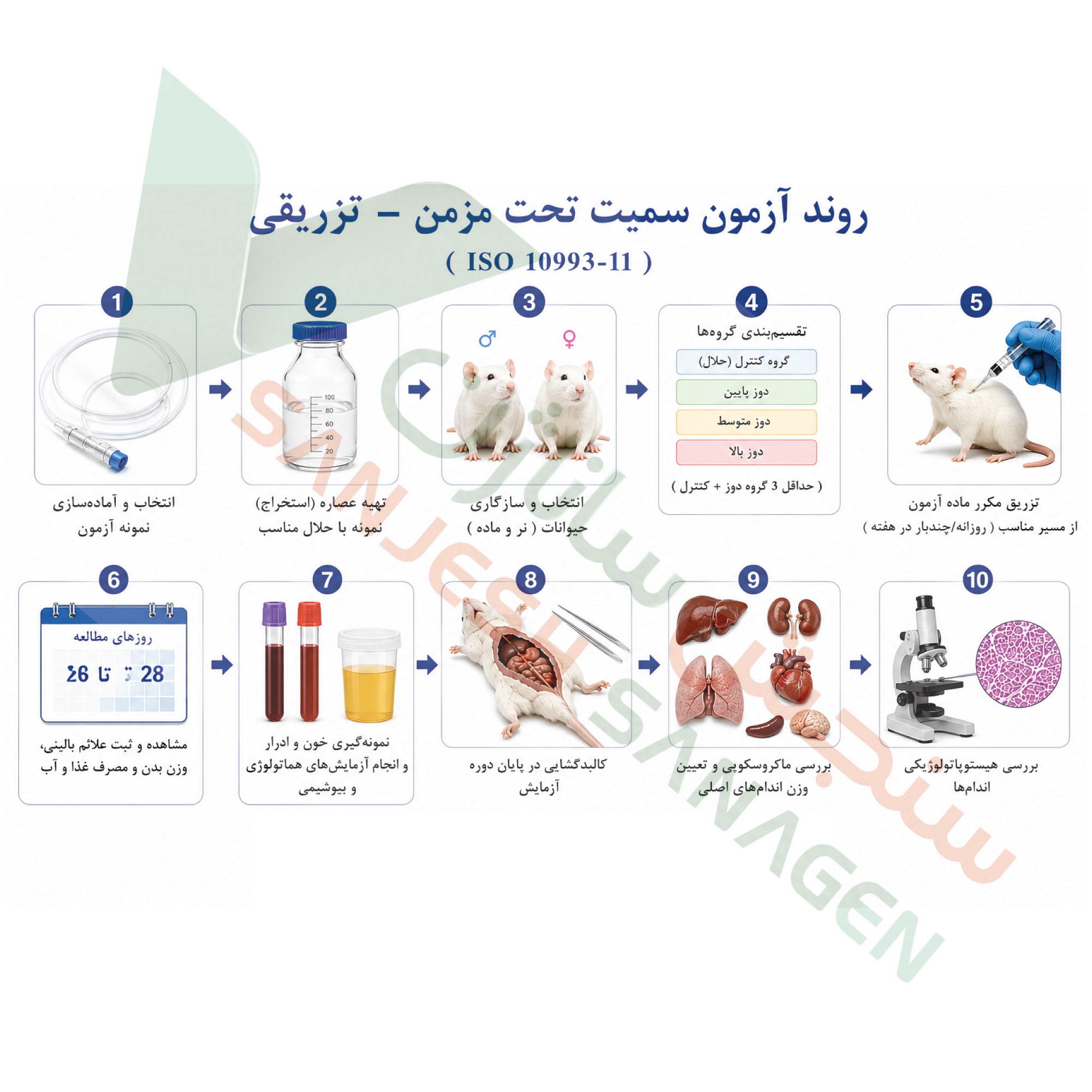 تست سمیت تحت مزمن تزریقی