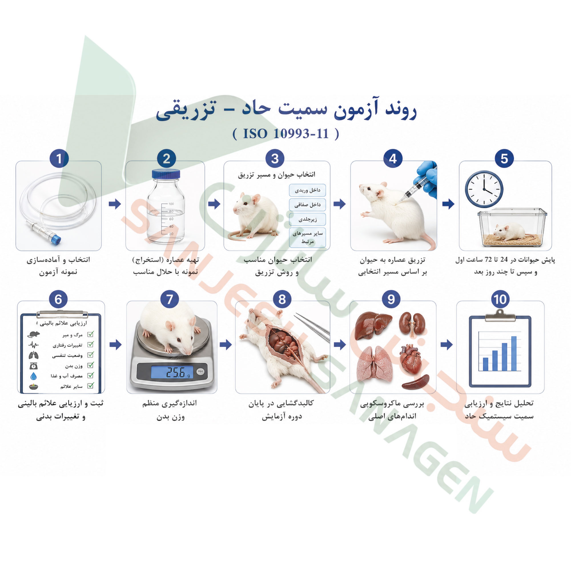 تست سمیت سیستمیک حاد تزریقی