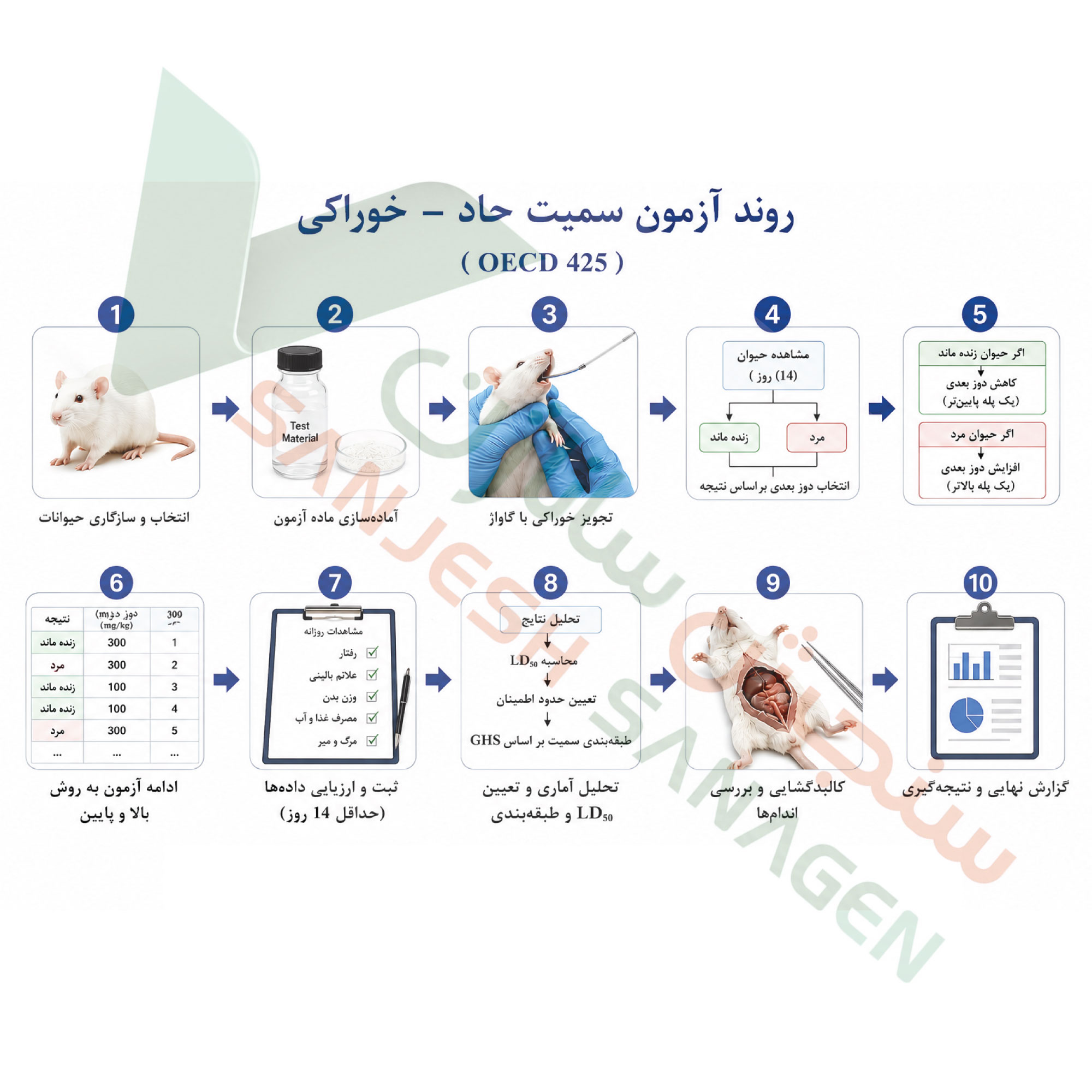 تست-سمیت-حاد-اورال
