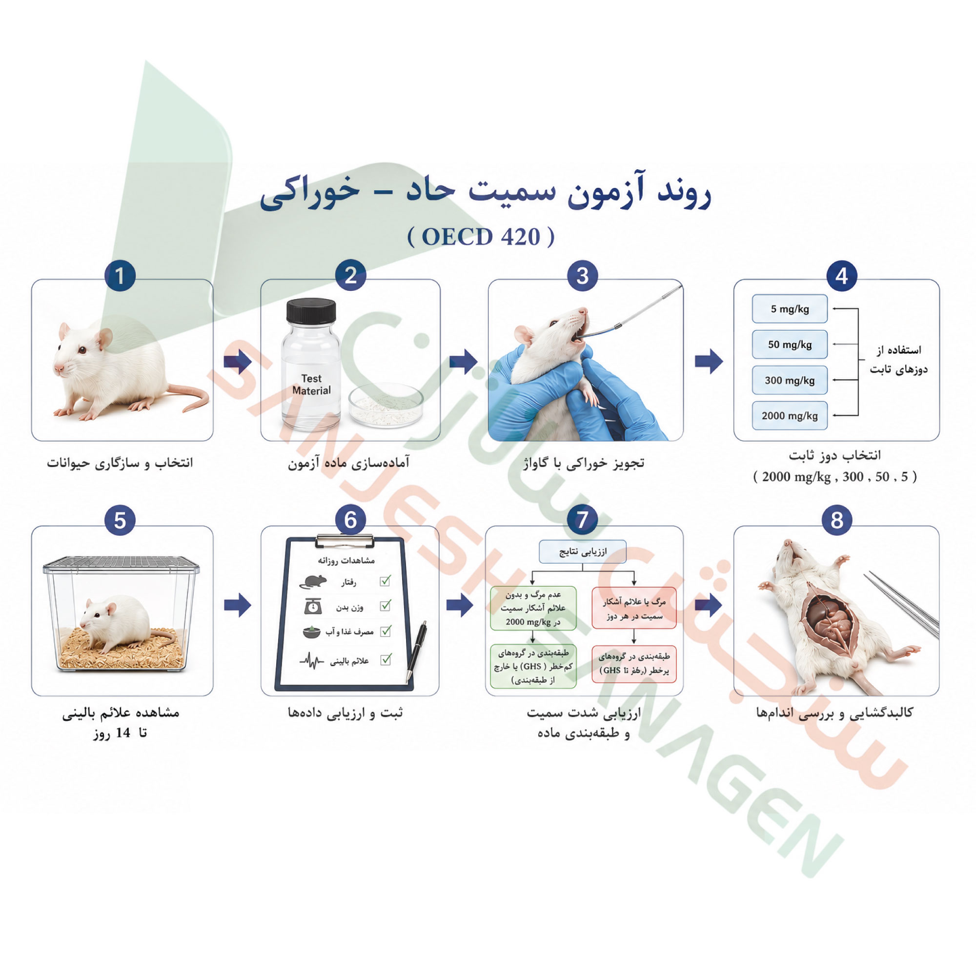 تست-سمیت-حاد-خوراکی