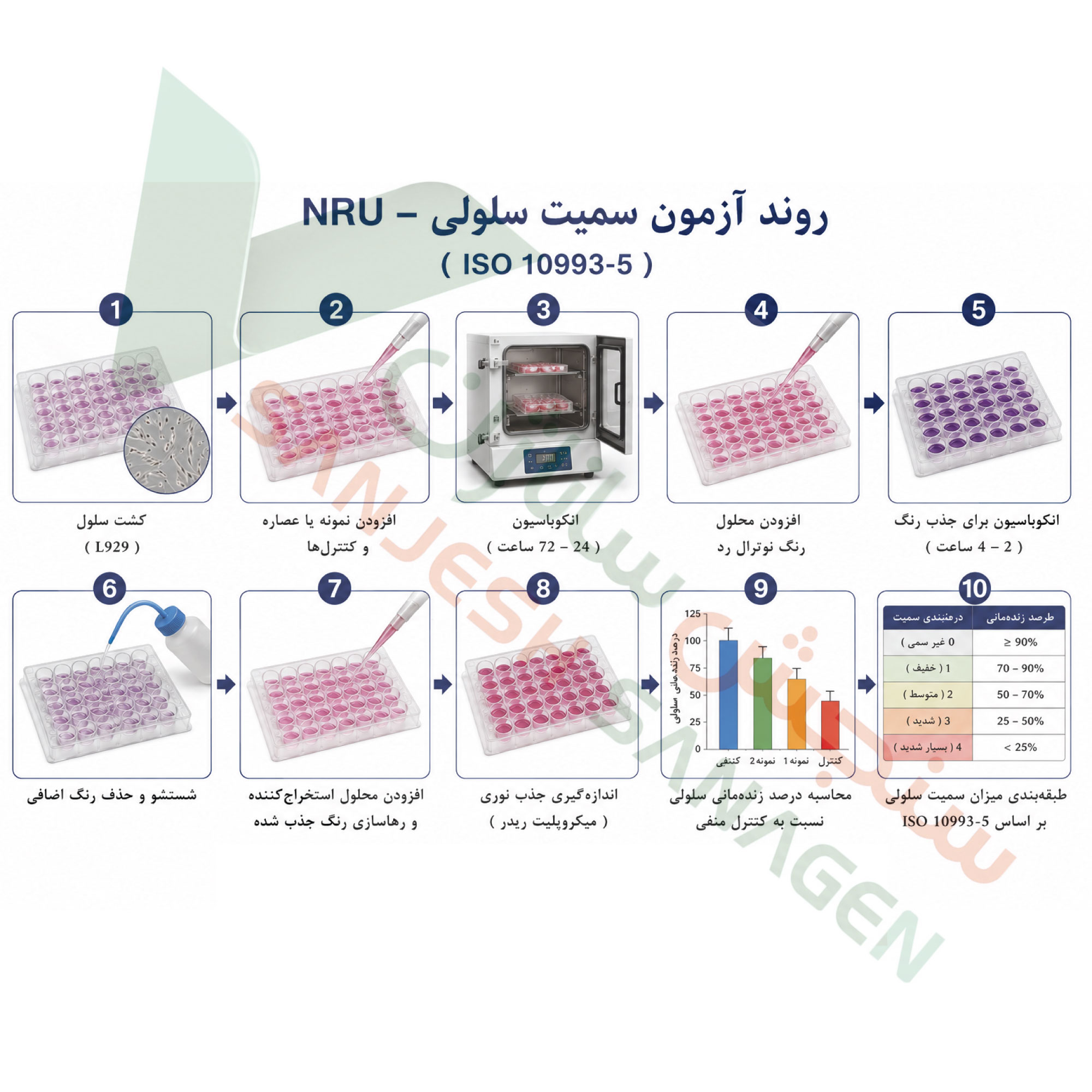 تست-سمیت-سلولی-nru