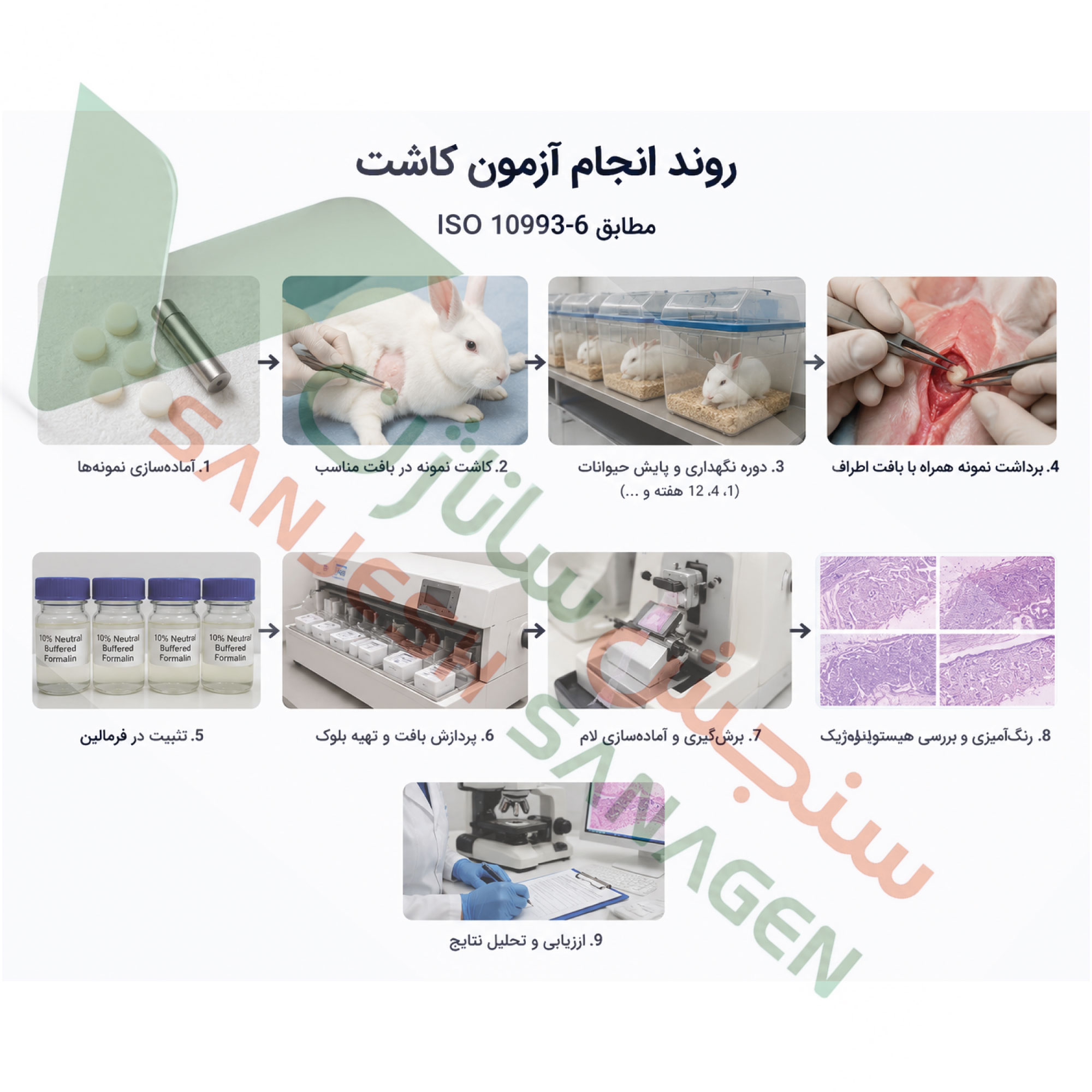 خلاصه-روند-تست-کاشت