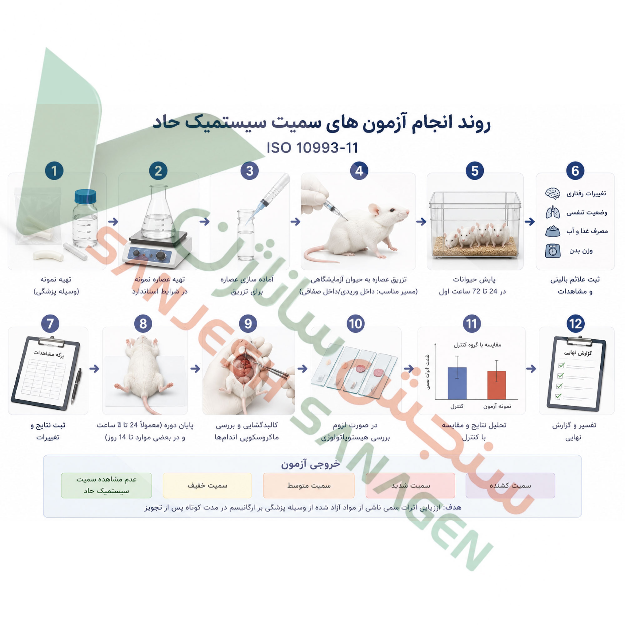 خلاصه-روند-سمیت-سیستمیک-حاد