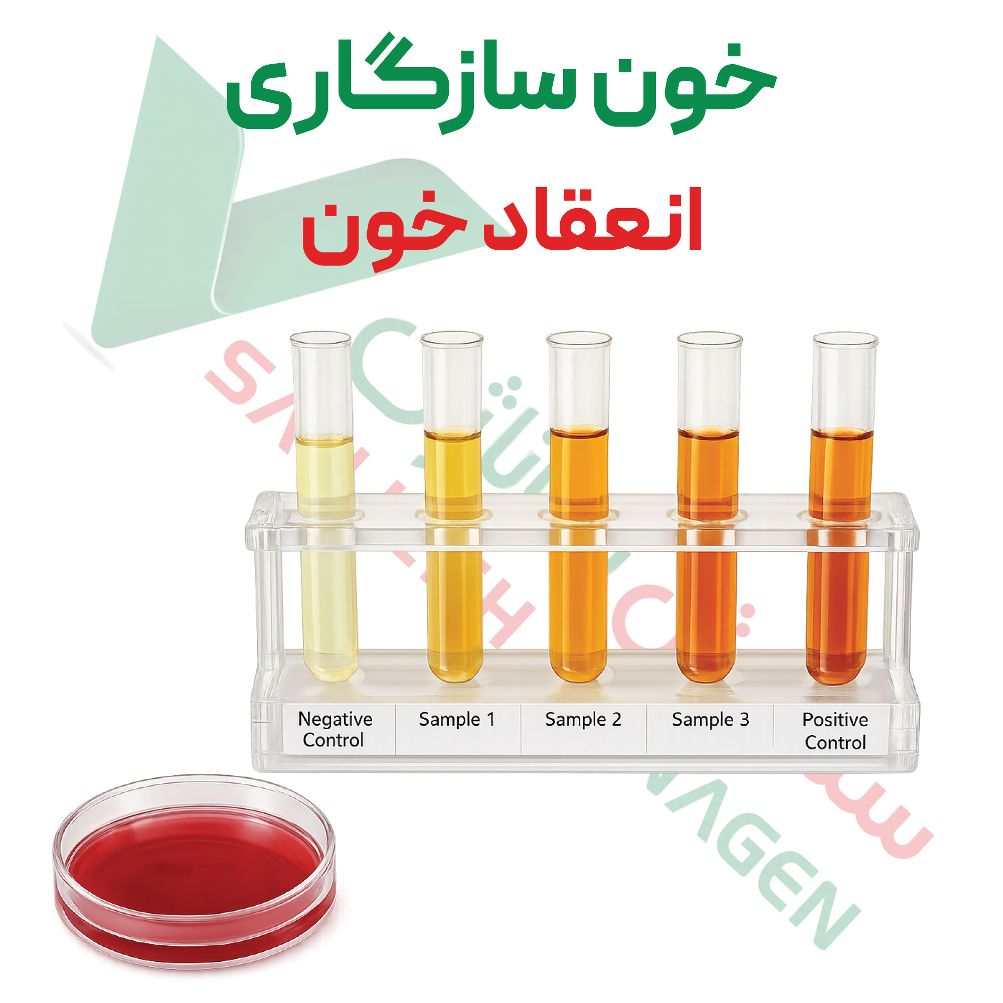 تست خون-سازگاری-انعقاد-خون.png