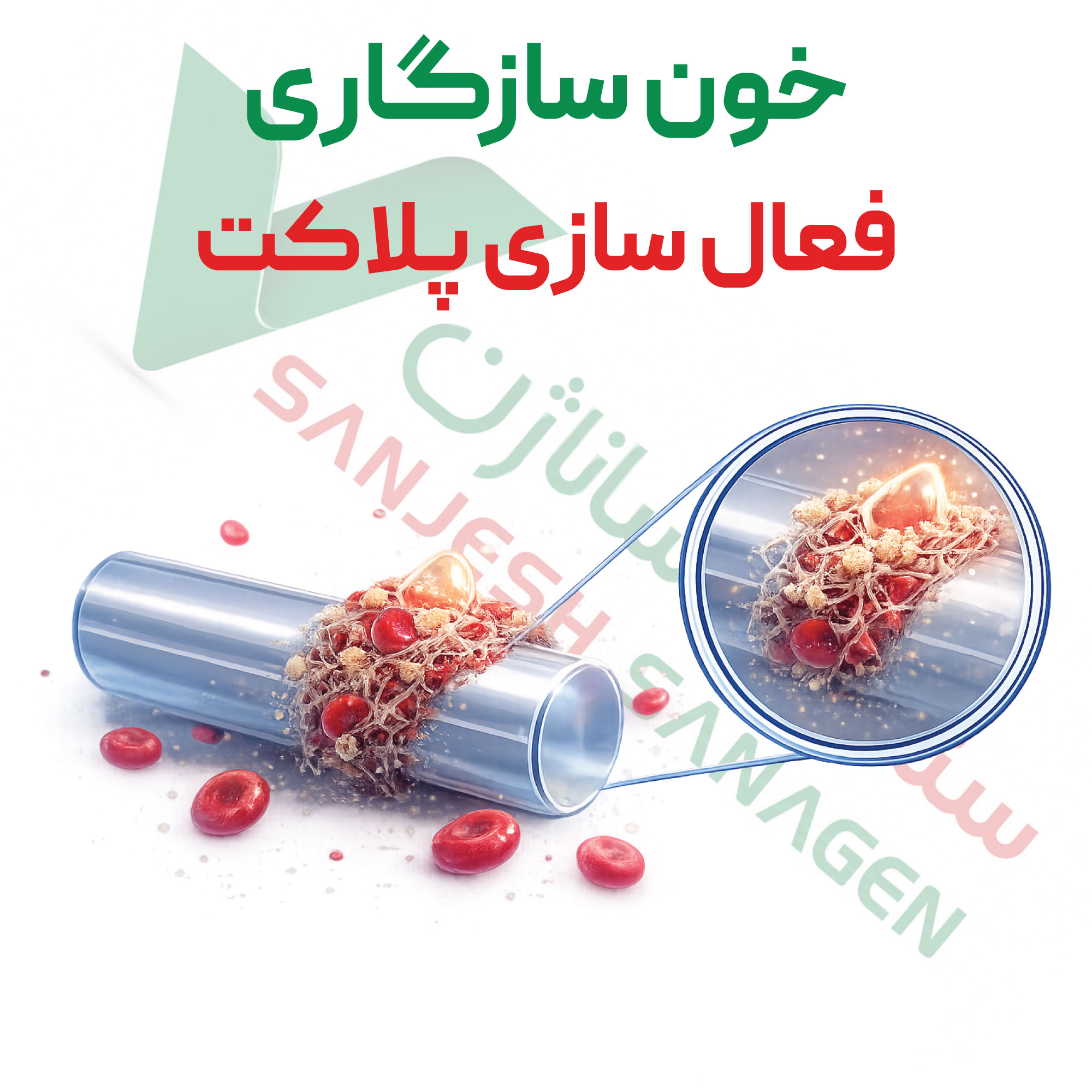 تست خونسازگاری-فعال-سازی-پلاکت