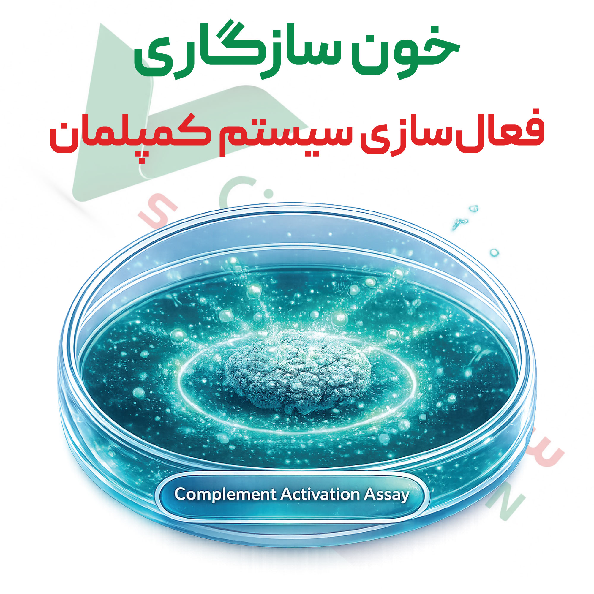 تست خونسازگاری-فعال‌سازی-سیستم-کمپلمان