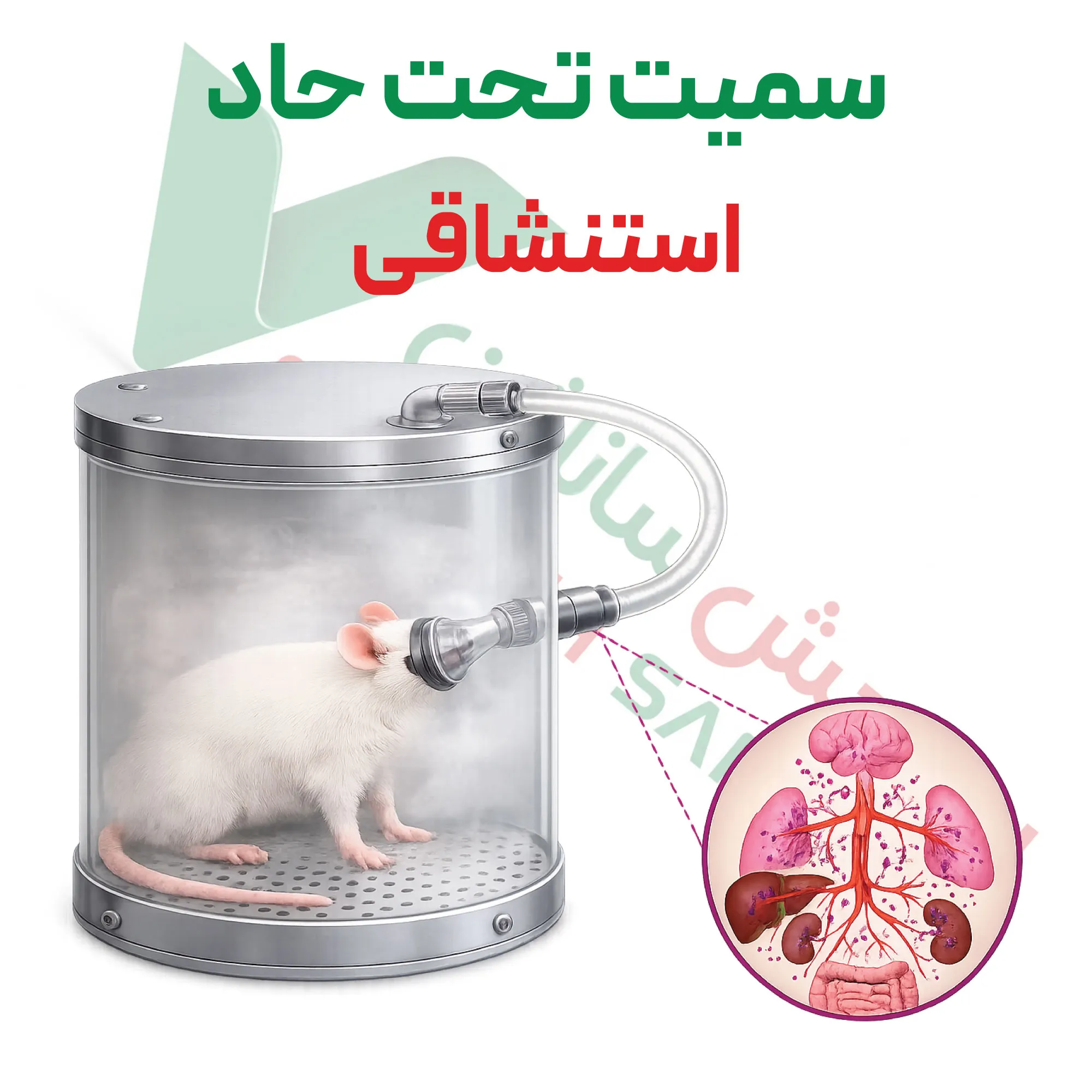 آزمون سمیت تحت حاد – استنشاقی