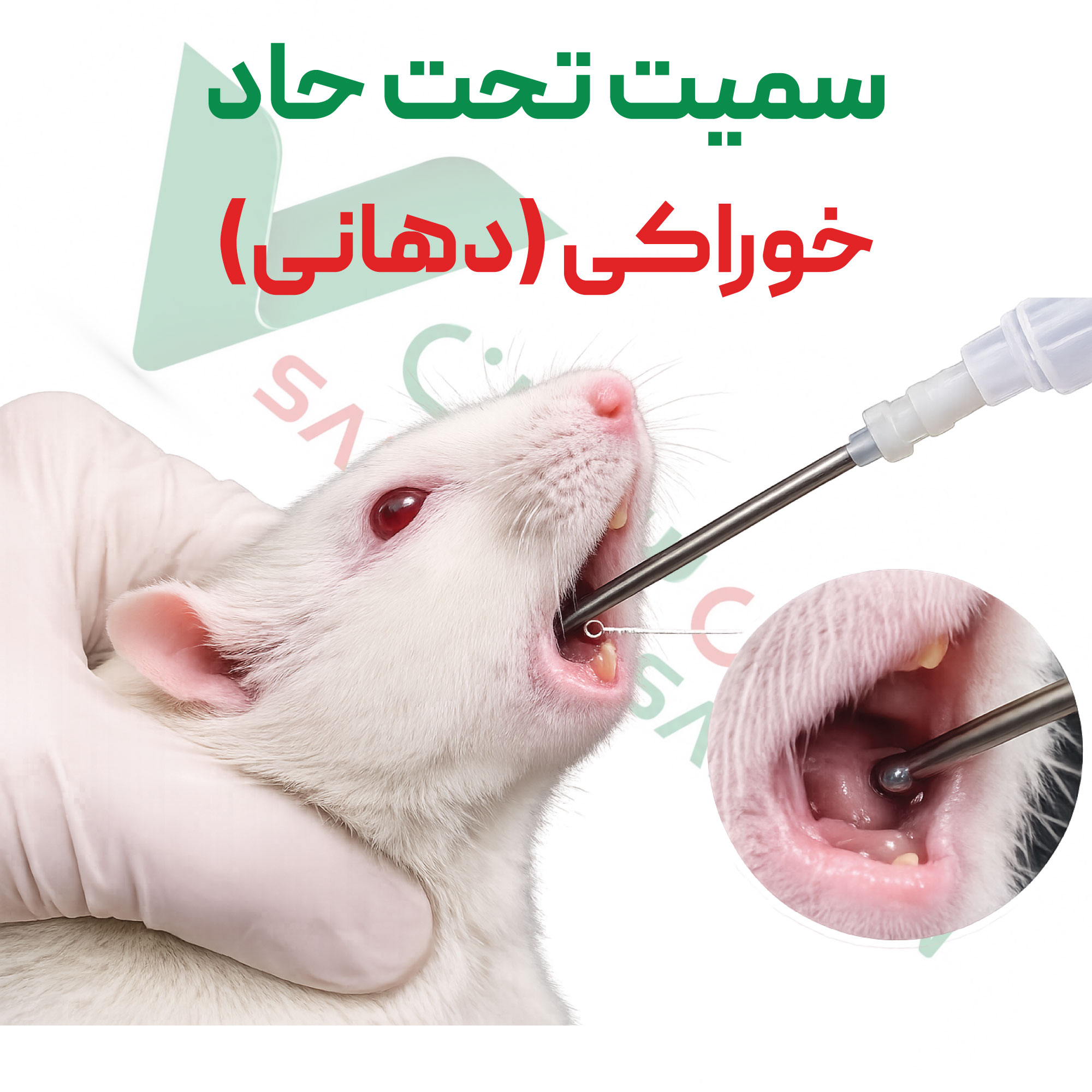 تست سمیت-تحت-حاد-دهانی