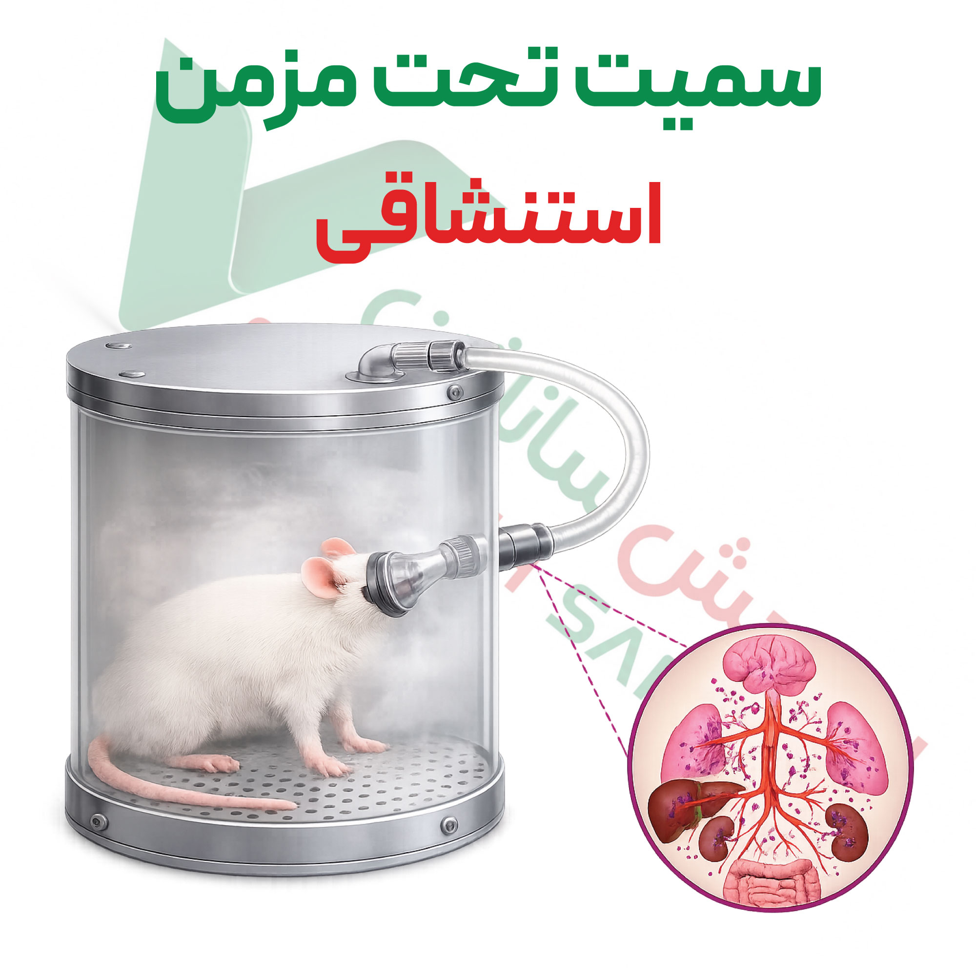 تست سمیت-تحت-مزمن-تنفسی