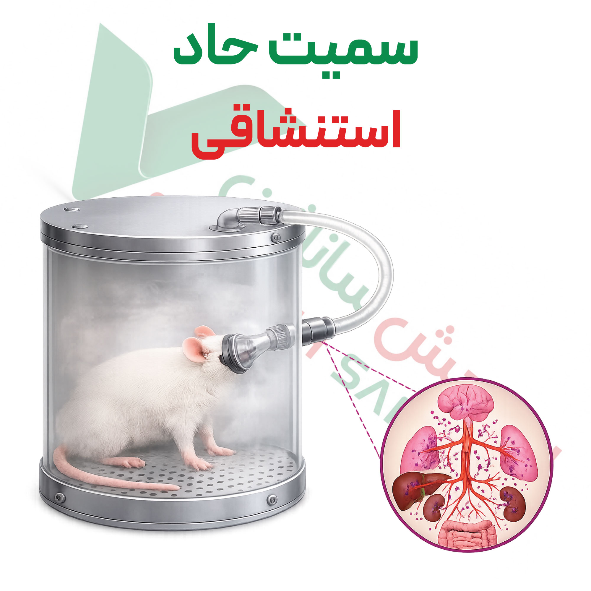 سمیت-حاد-تنفسی