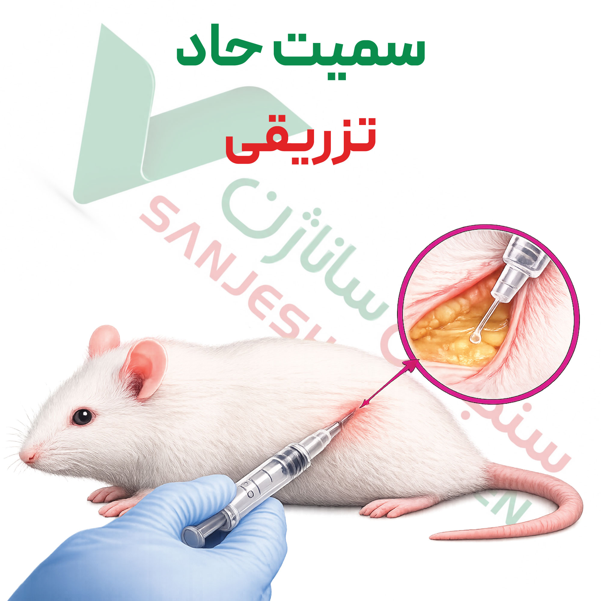 تست سمیت-حاد-تزریقی