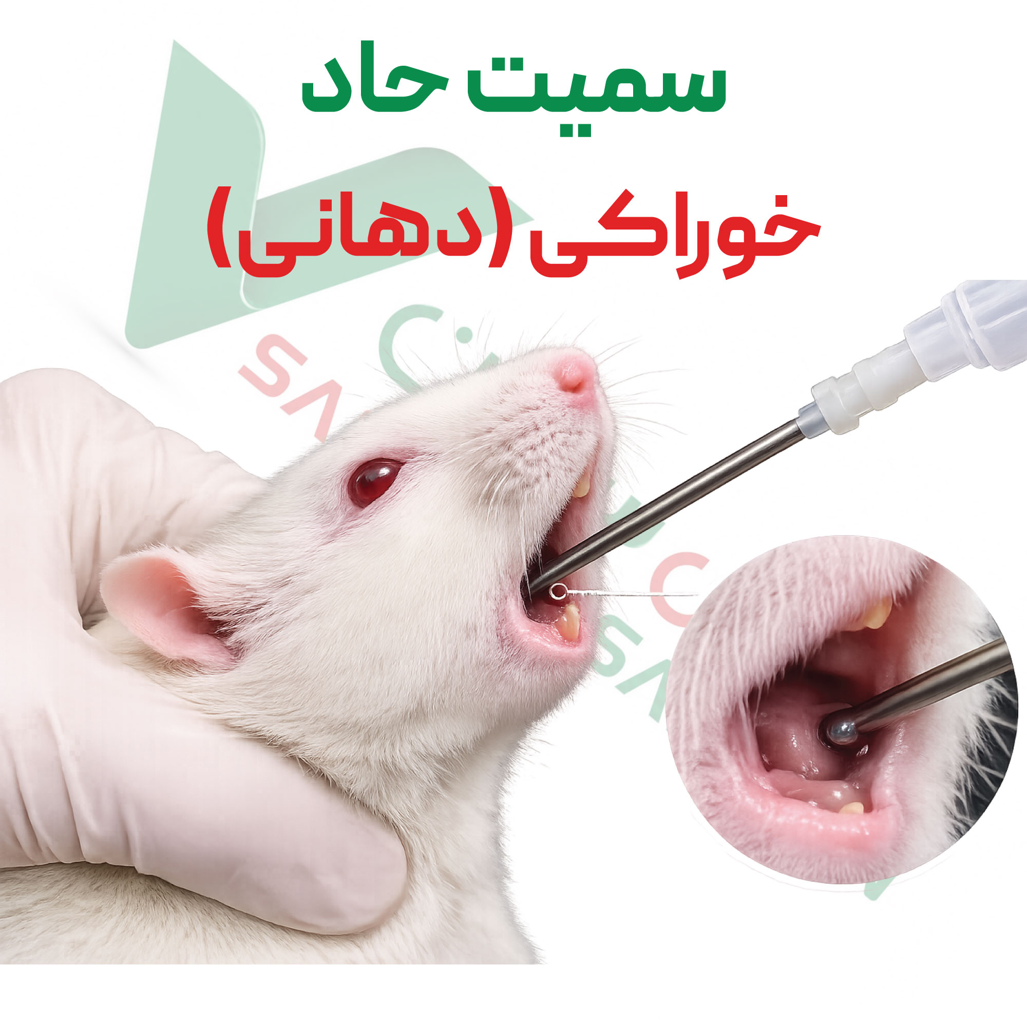 تست سمیت-حاد-دهانی