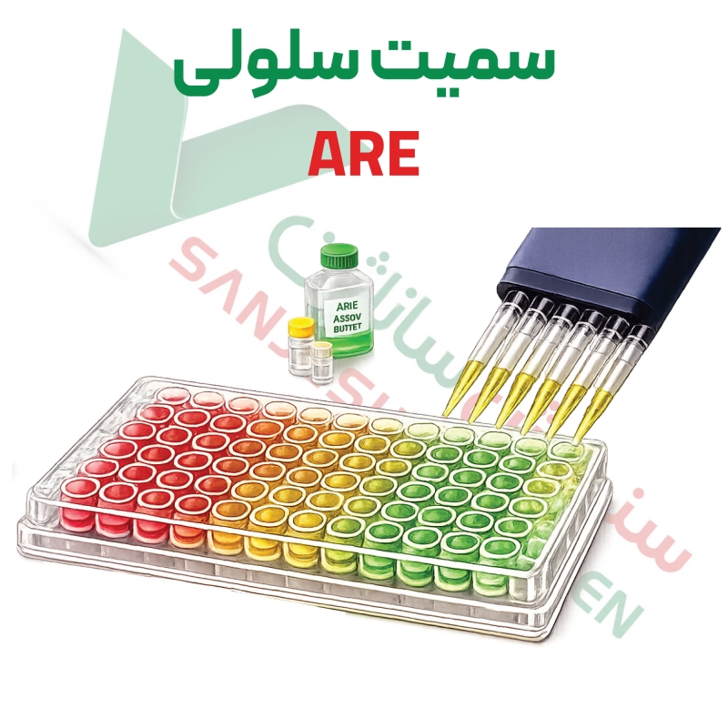 تست سمیت-سلولی-are تست سمیت-سلولی-are