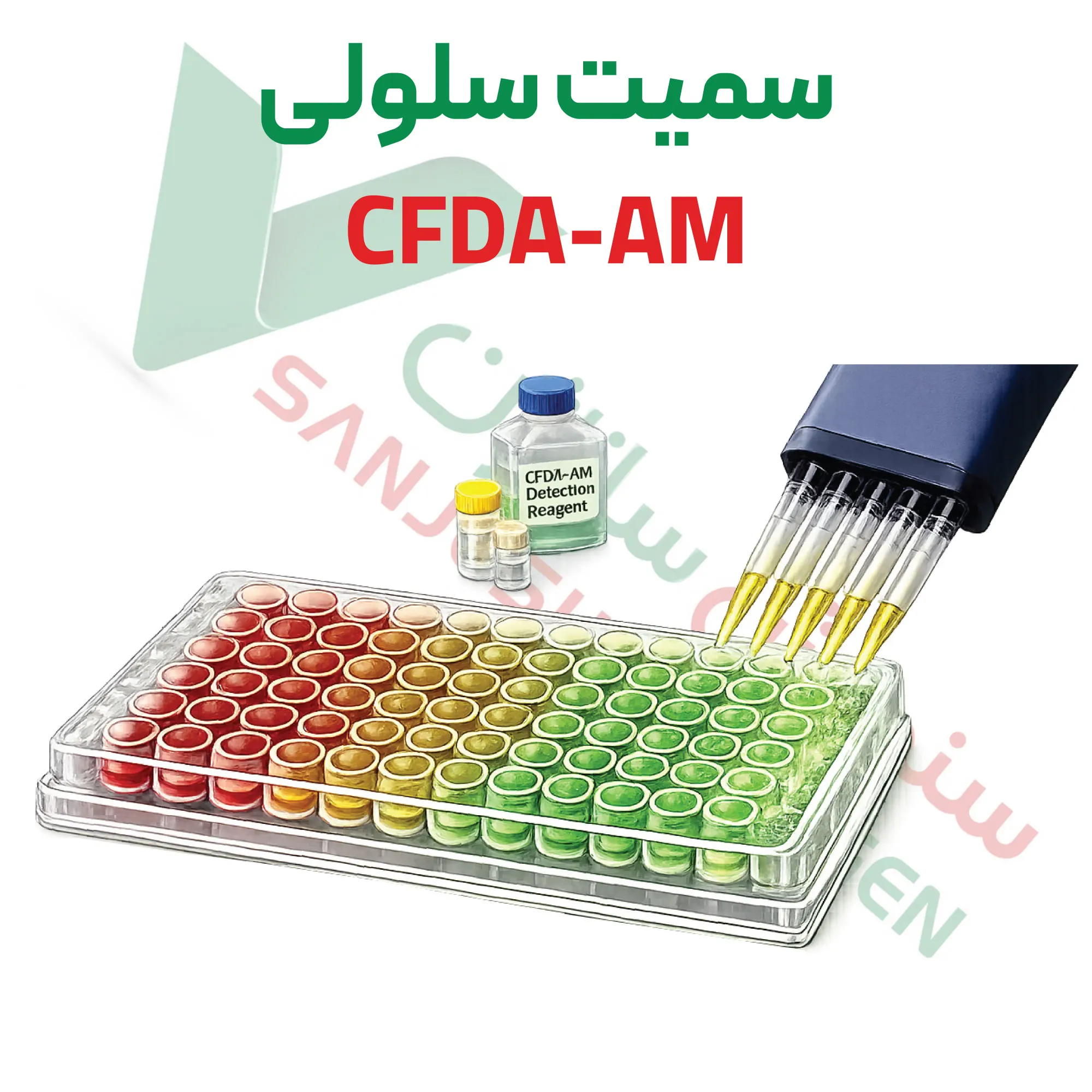 آزمون سمیت سلولی – CFDA-AM
