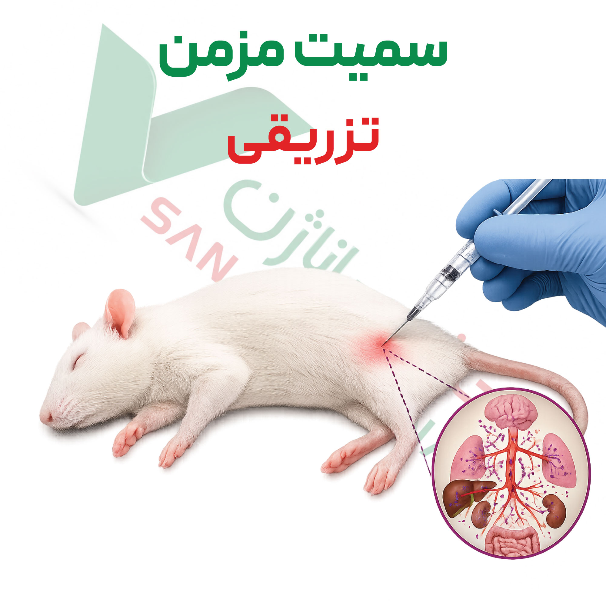 تست سمیت-سیستمیک مزمن-تزریقی