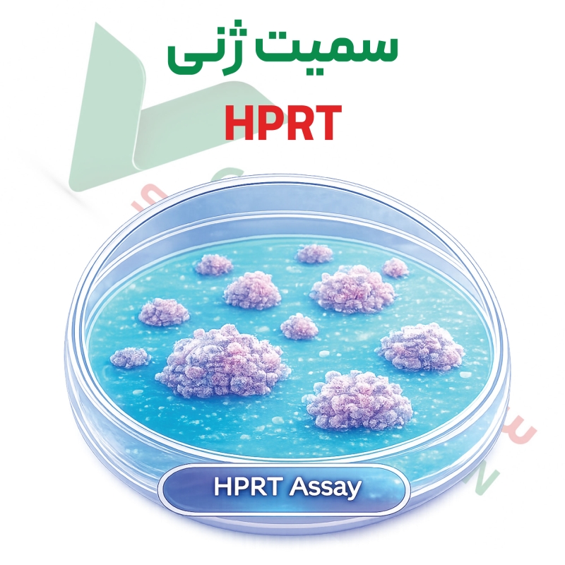 سمیت-ژنی-hprt