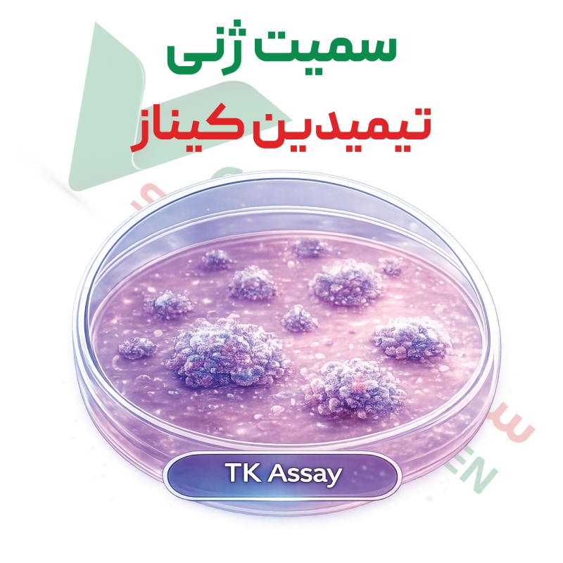سمیت-ژنی-تیمیدین-کیناز