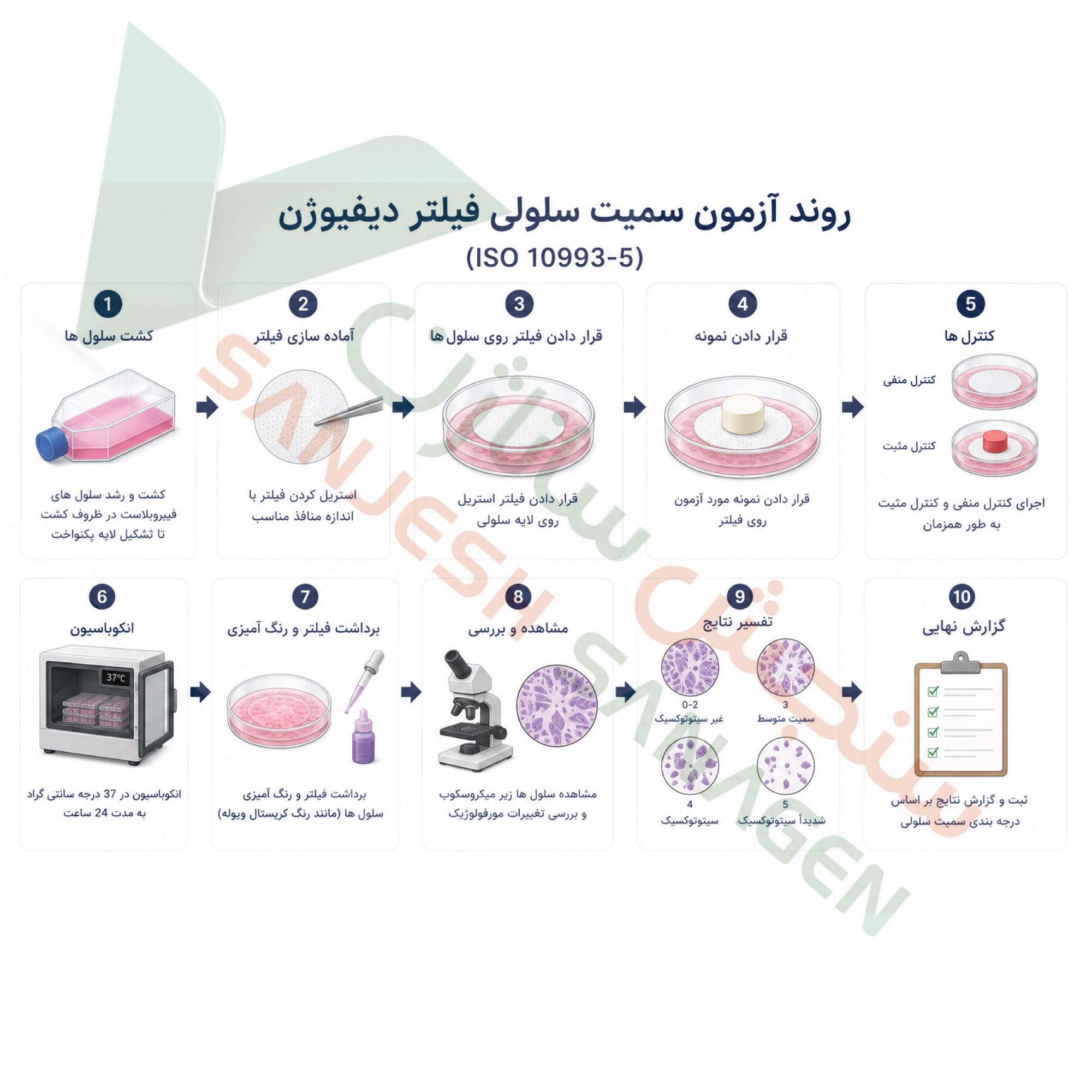 خلاصه-تست-سمیت-سلولی-فیلتر-دیفیوژن