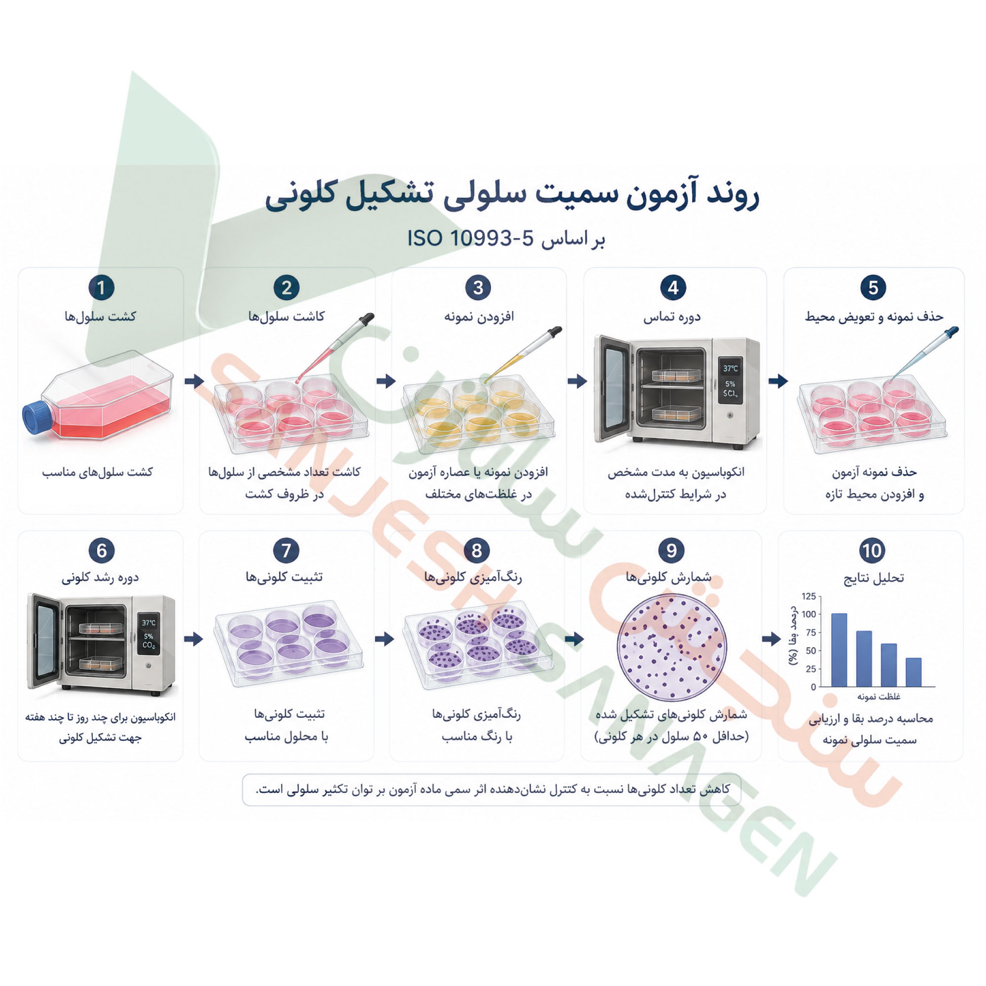 خلاصه روند تست کلونی فورمیشن