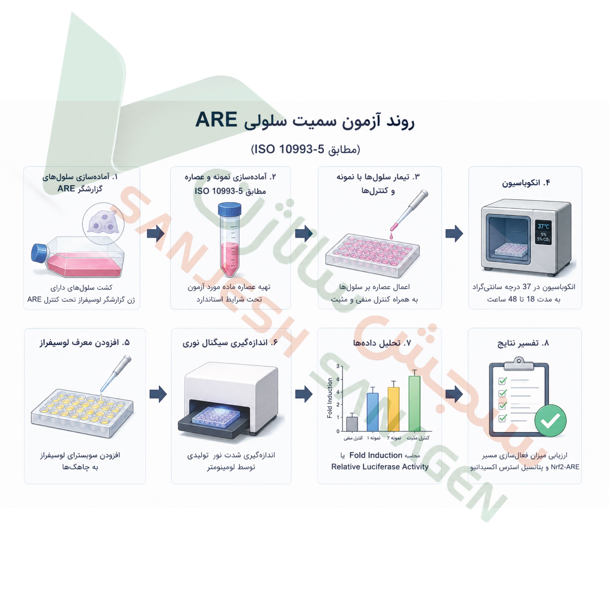 خلاصه تست ارزیابی استرس اکسیداتیو ARE