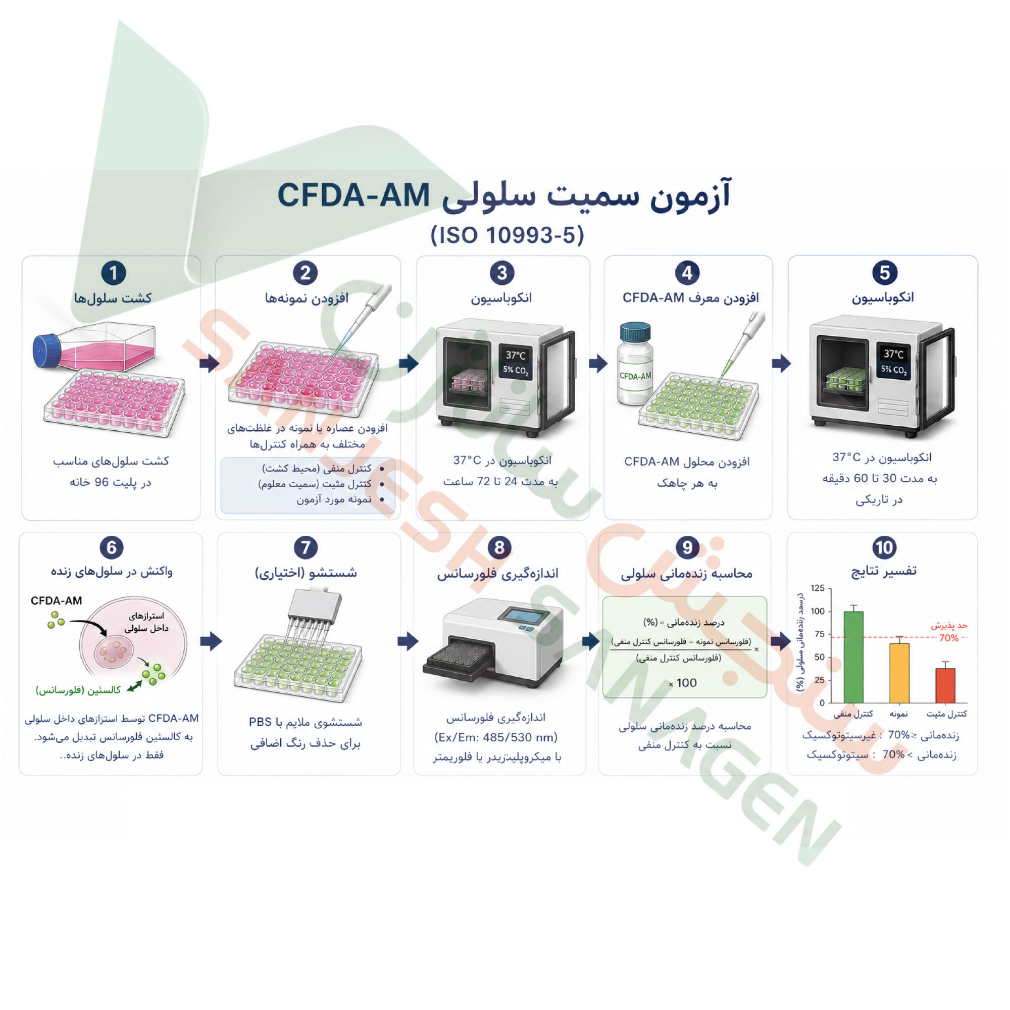 خلاصه تست-سمیت-سلولی-cfda-am