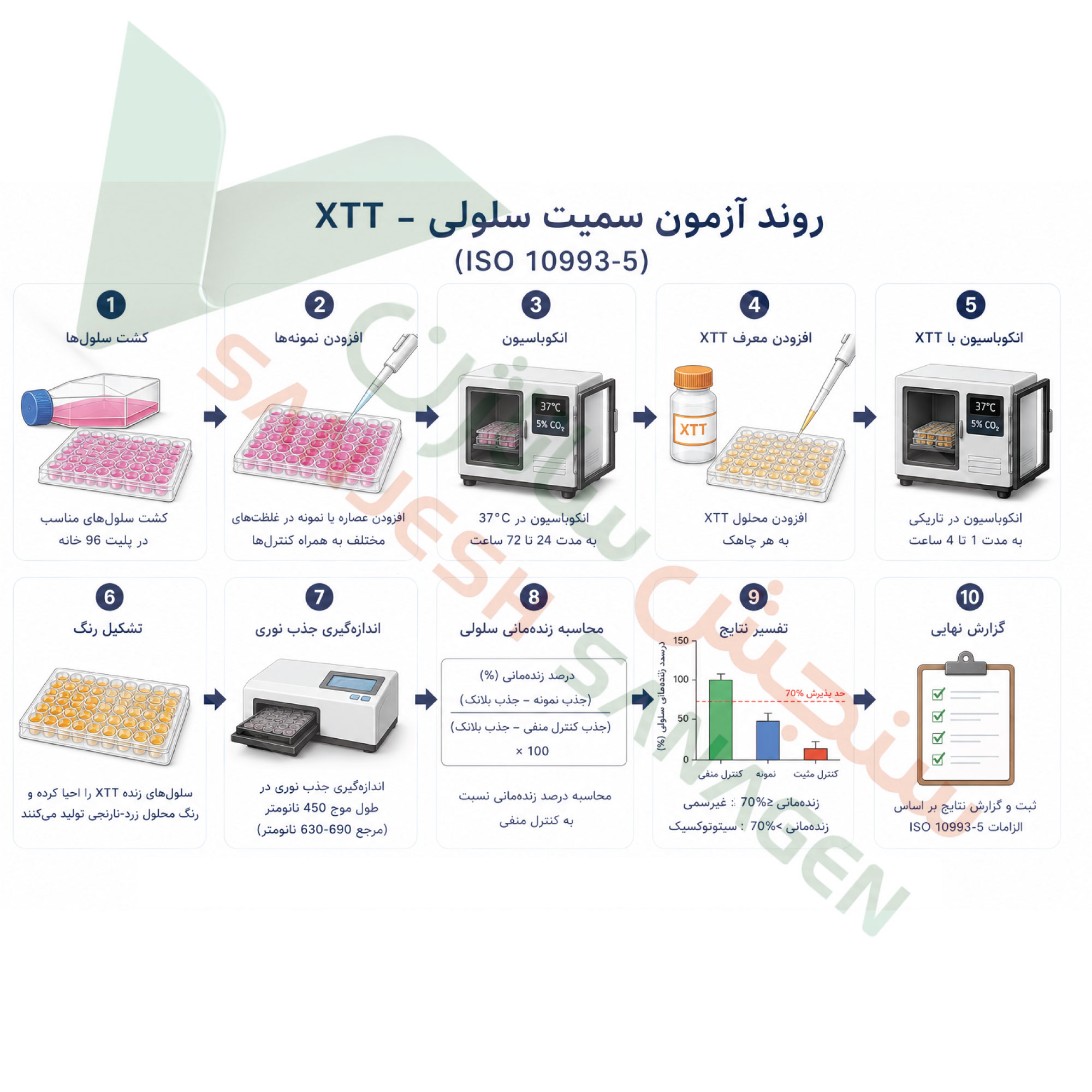 خلاصه تست سمیت سلولی XTT