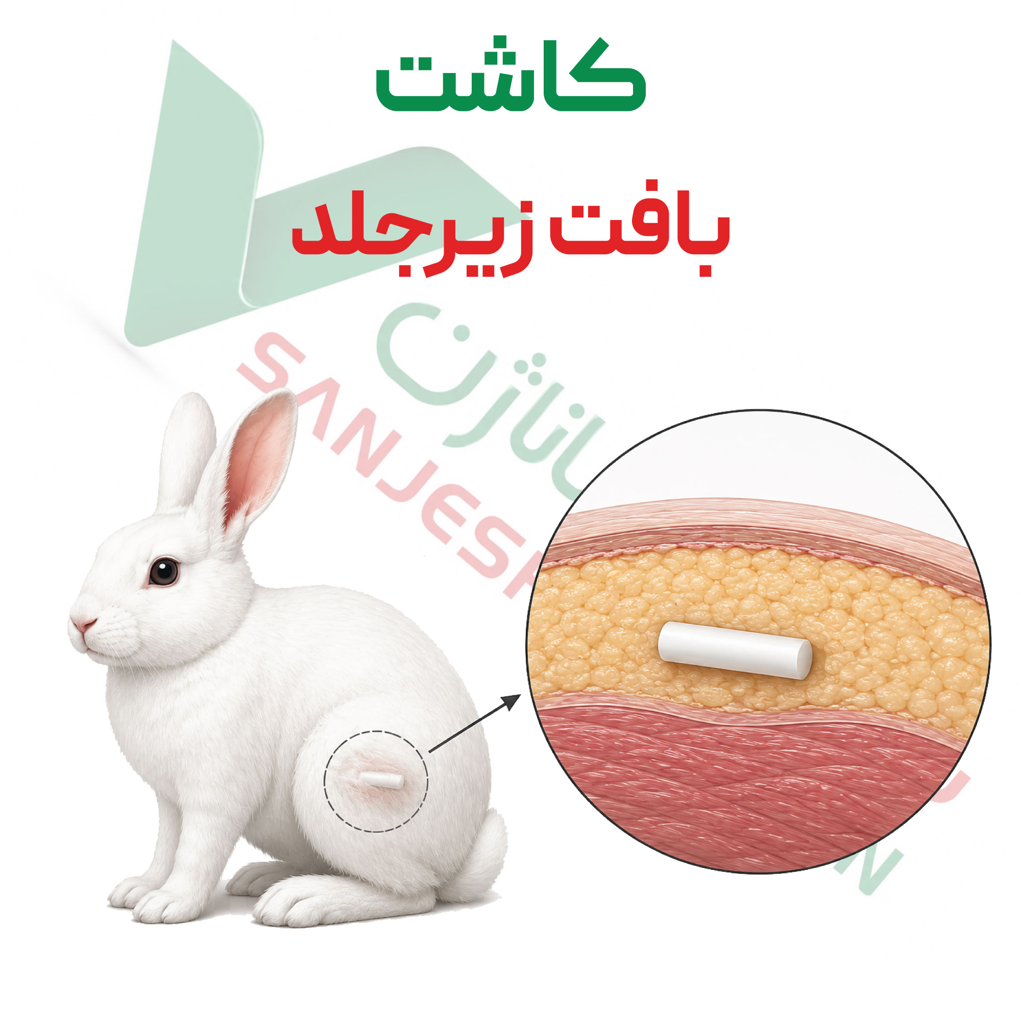 تست کاشت-زیرجلدی