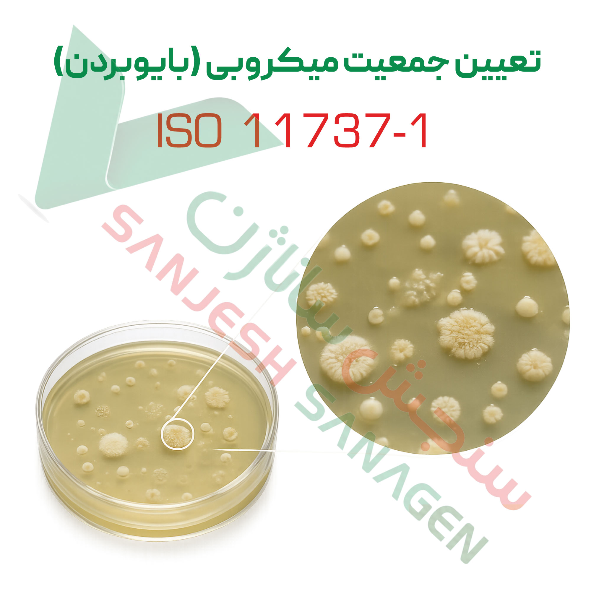 تست بایوبردن-براساس-ISO-11737-1