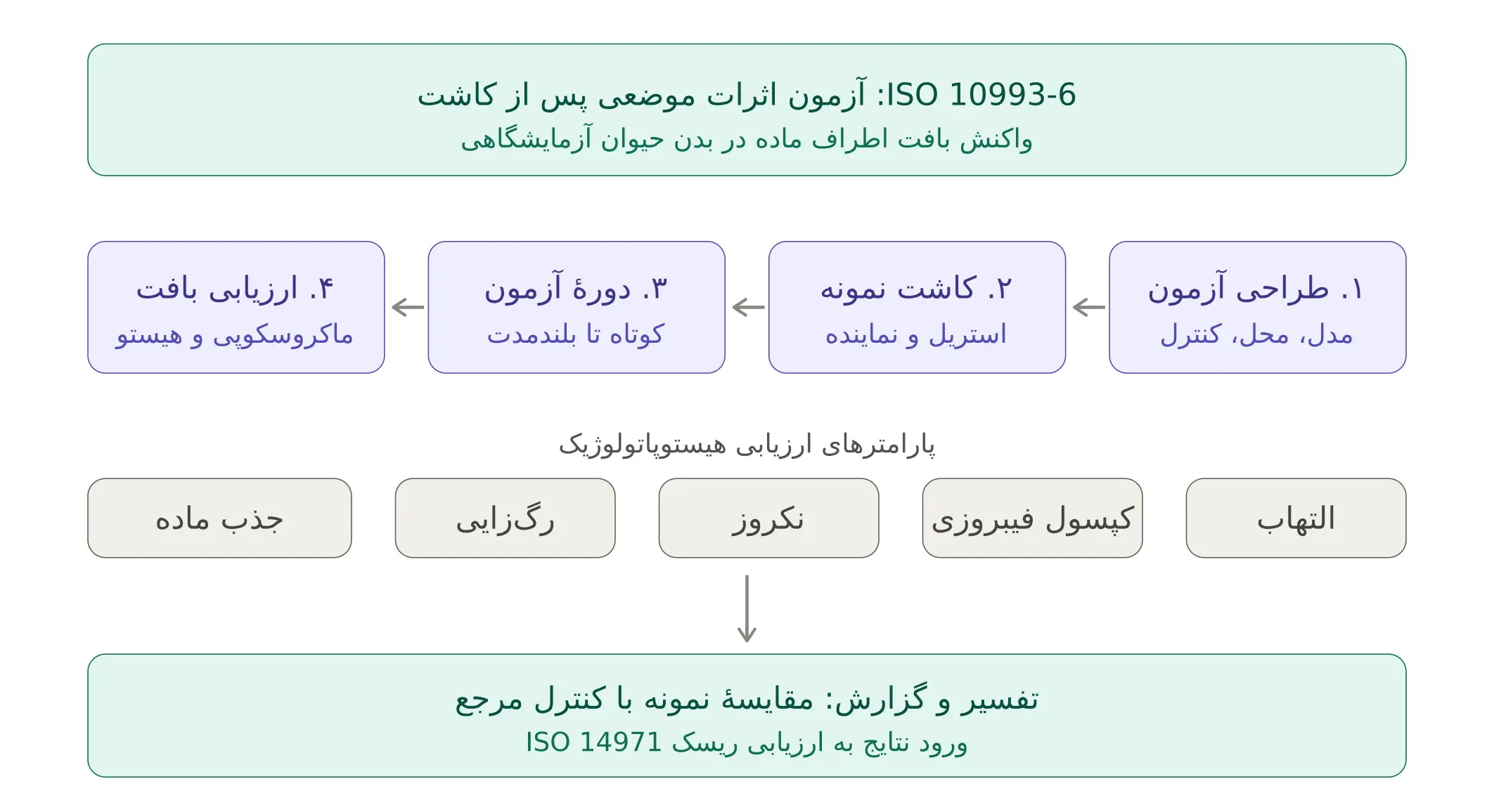 iso_10993_6